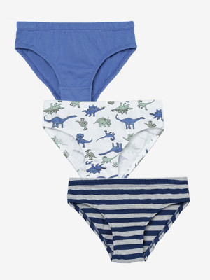 Charm n Cherish Brief For Boys(Multicolor Pack of 3)