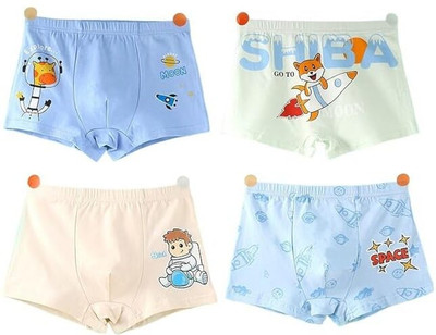 Dharmnirdosh Brief For Boys(Multicolor Pack of 4)