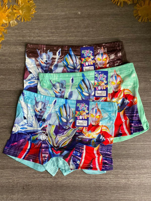 SPENTERPRISE Brief For Boys(Multicolor Pack of 3)