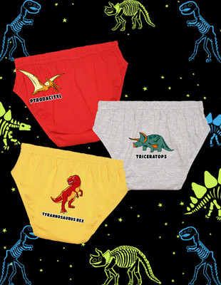 Nusyl Brief For Boys(Multicolor Pack of 5)