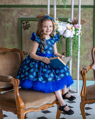 Jayshree Enterprise Indi Girls Midi/Knee Length Festive/Wedding Dress(Blue, Sleeveless)