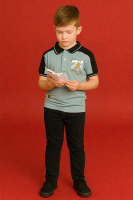 Color Bloom Boys Striped Cotton Blend Regular T Shirt(Grey, Pack of 1)