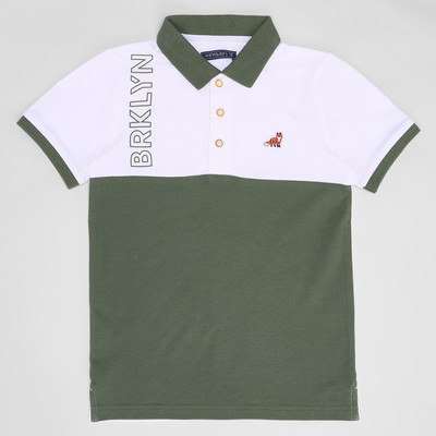 Pantaloons Junior Boys Colorblock Cotton Blend Regular T Shirt(Green, White, Pack of 1)