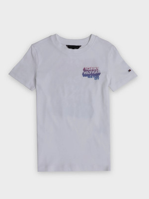 TOMMY HILFIGER Boys Typography Pure Cotton Regular T Shirt(Grey, Pack of 1)