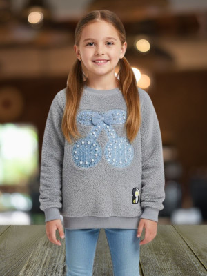 Pink Castle Girls Casual Velvet Full Sleeve Top(Grey, Pack of 1)