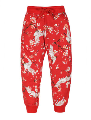 Plum Tree Track Pant For Boys(Red, Pack of 1)