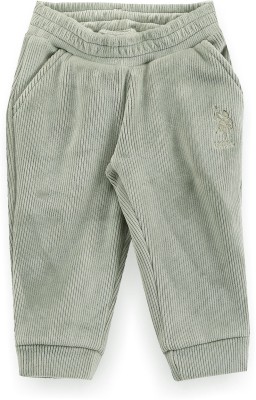 U.S. POLO ASSN. Track Pant For Boys(Green, Pack of 1)