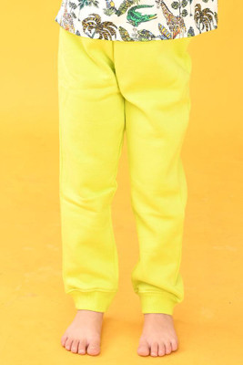 anthrilo Track Pant For Baby Boys(Green, Pack of 1)