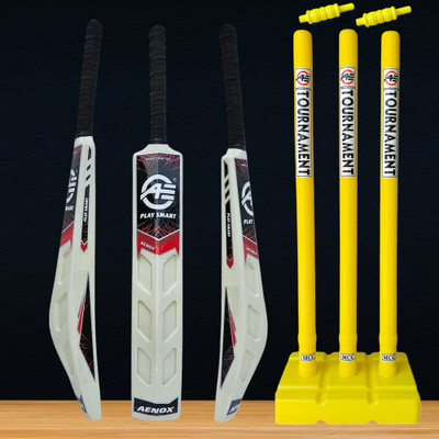Aenox PLAY SMART KIT WITH PVC BAT AND STUMP FOR JUNIORS Cricket Kit