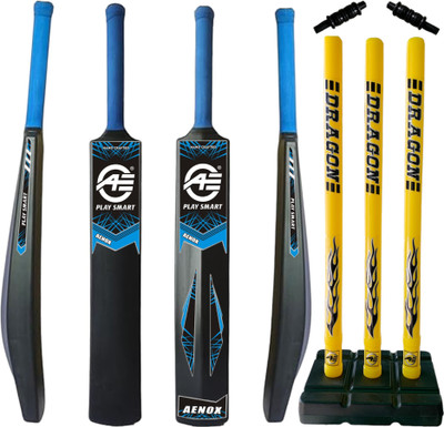 Aenox PLAY SMART JUNIOR KIT WITH PVC BAT AND STUMP Cricket Kit