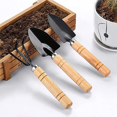 Smartcraft 3 Pcs Gardening Hand Tool Kit for Home Gardening Garden Pick