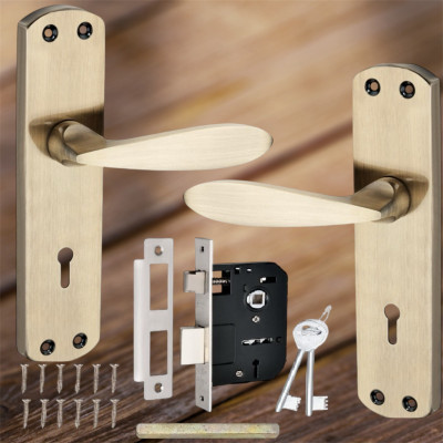ProHard Iron Glossy Handlesets(Gold)