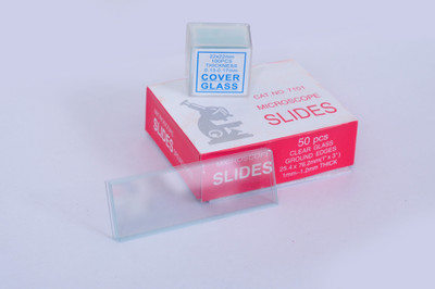 Martify Hub Standard Slide(1 mm, Pack of 50)