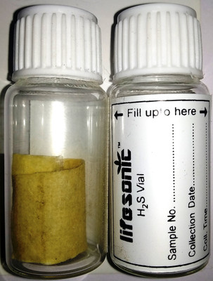 LIFESONIC 40 Lab Vial(Pack of 10)