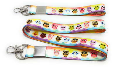 Key Era Owl Bird Id Card Holder Fabric Set Of 2 Keychain And Lanyard(Multicolour)