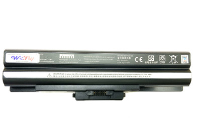 WEFLY Laptop Battery Compatible for Sony VAIO VGN-CS390JDV 6 Cell Laptop Battery