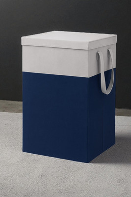 AVENTERPRISES 65 L Multicolor Laundry Basket(Non-Woven)