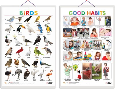 GO WOO Pack of 2 Birds and Good Habits Educational charts with Lamination(White)