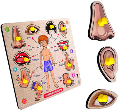 Cyrus NEW LAUNCH WOODEN QUALITY BODY PART BOARD LEARNING TOY FOR ALL KIDS.(Multicolor)