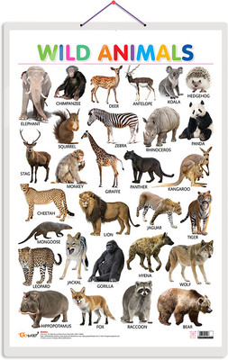 GO WOO Wild Animals Educational chart with Big font and Dust resistant Lamination(Silver)
