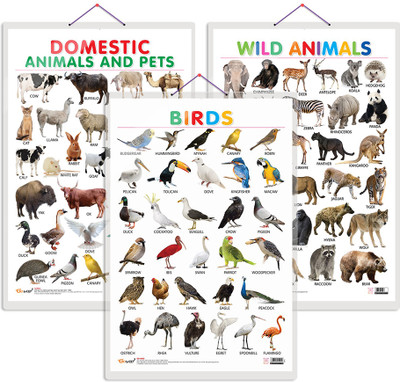 GO WOO Pack of 3 Domestic Animals and Pets, Wild Animals and Birds Educational charts(Multicolor)