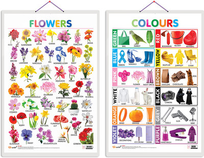 GO WOO Pack of 2 Flowers and Colours Educational charts(Yellow)