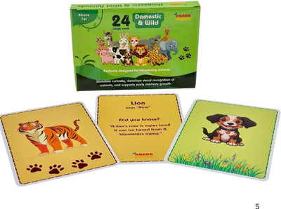 NannaMunna Animals Flash Cards for Kids | 24 Large Flashcards (Domestic & Wild Animals)(Green)