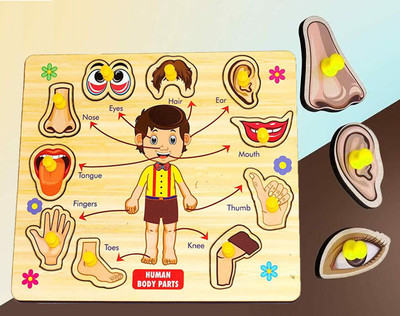 SHALAFI Activities Body Parts Chart Board Game Learning Puzzle Wooden Toys with Knobs(Beige, Multicolor)