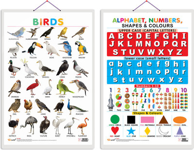 GO WOO Pack of 2 Birds and Action Words Educational charts with Lamination(Red)