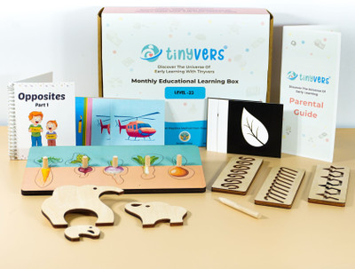 Tinyvers Level 23 Montessori Early Child Development & Problem Solving Toys (1.5 Years)(Multicolor)