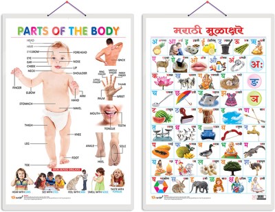 GO WOO Pack of 2 Parts of the Body and Marathi Varnamala (Marathi) Educational charts(Grey)