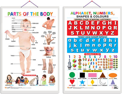 GO WOO Pack of 2 Parts of the Body and Alphabet, Numbers, Shapes & Colours charts(Red)