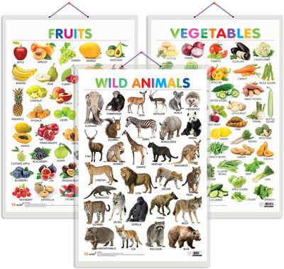 GO WOO Pack of 3 Fruits, Vegetables and Wild Animals Educational charts(Beige)