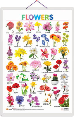 GO WOO Flowers Educational chart with Big font and Dust resistant Lamination(Multicolor)