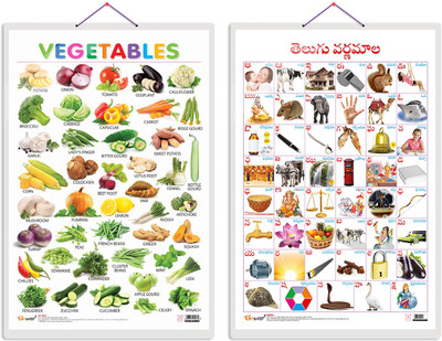 GO WOO Pack of 2 Vegetables and Telugu Alphabet (Telugu) Educational charts(Grey)