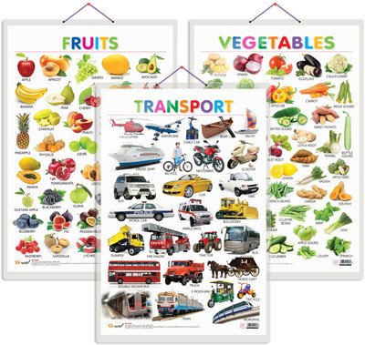 GO WOO Pack of 3 Fruits, Vegetables and Transport Educational charts(Orange)