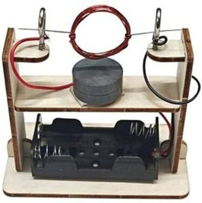ERHIndia DIY Electromagnetic Induction Motor Learning Kit(Multicolor)