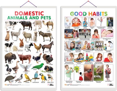GO WOO Pack of 2 Domestic Animals and Pets and Good Habits Educational charts(Silver)