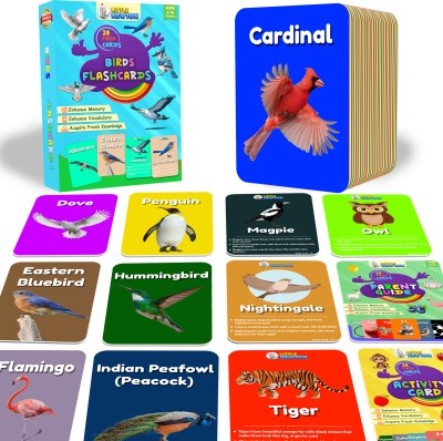 The Little Ones Flash Cards For Kids Premium Thick Modern Flash Card Preschool Learning BIRDS(Multicolor)