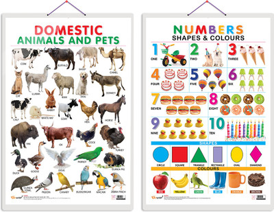 GO WOO Pack of 2 Domestic Animals and Pets and Numbers, Shapes & Colours charts(Black)