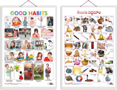 GO WOO Pack of 2 Good Habits and Telugu Alphabet (Telugu) Educational charts(Brown)