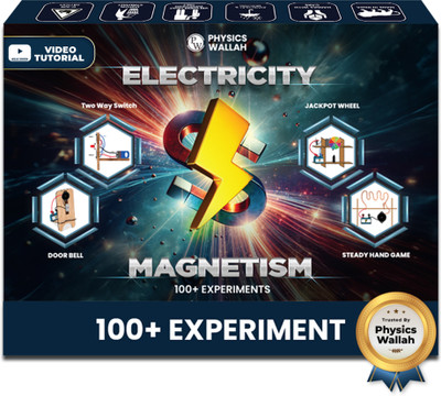 PW Curious Jr. Electricity & Magnetism Science Projects Kit(Multicolor)