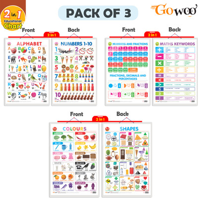 GO WOO Packof3|2IN 1ALPHABET&NUMBER1-10,NUMBER&FRACTIONS&MATHSKEYWORDS&COLOURS&SHAPES(Multicolor)