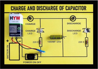 DSS Simple Electronic Circuit Basic Working Science Project for School Projects(Yellow)