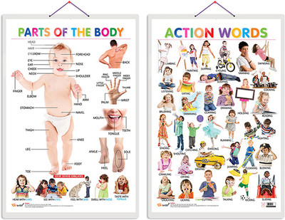 GO WOO Pack of 2 Parts of the Body and Action Words Educational charts with Lamination(Blue)