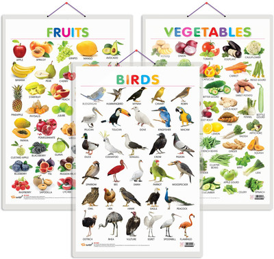 GO WOO Pack of 3 Fruits, Vegetables and Birds Educational charts(Black)
