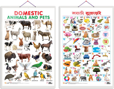 GO WOO Pack of 2 Domestic Animals and Pets and Marathi Varnamala Educational charts(Red)