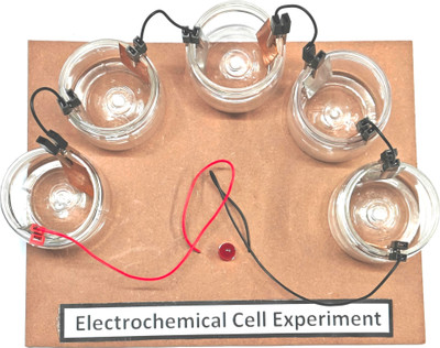 ERHIndia Electrochemical Cell Experiment Class 12 Investigatory Science Project(Brown)