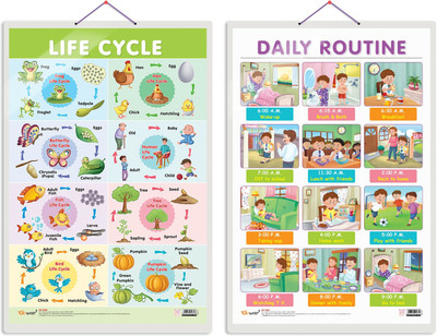 GO WOO Pack of 2 Life Cycle and DAILY ROUTINE Educational charts(Black)