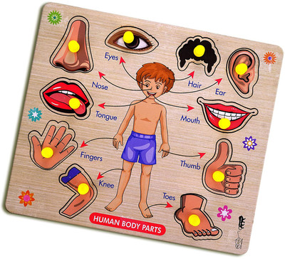 Cyrus ALL SHAPE BODY PART WOODEN GAME FOR KIDS FOR LEARNING.(Multicolor)